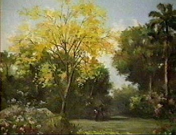 yellow poui tree
